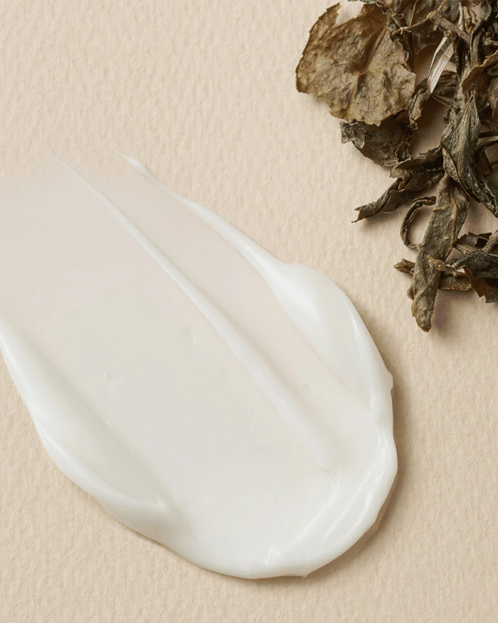 Vinegar Kombucha Vegan Cream - Image 3